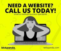 BlckPanda Creative - Website Designer image 4